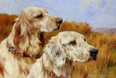 Cão podem se sentir inseguras se seu parceiro tiver sentimentos