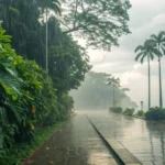 Colniza tem quarta-feira úmida em 11/02/2026