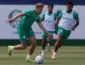 Palmeiras suspende associado e abre sindicância após denúncias de assédio a menores