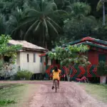 Amazônia registra quase metade dos conflitos fundiários no Brasil