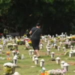 Animais poderão ser sepultados em jazigos familiares em São Paulo