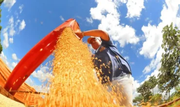 Produção de grãos deve alcançar 353,4 milhões de toneladas em 2025/26