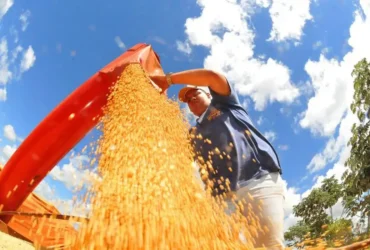 Produção de grãos deve alcançar 353,4 milhões de toneladas em 2025/26