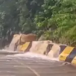 Chuvas deixam mais de 300 desabrigados em Peruíbe e afetam litoral de São Paulo