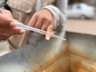 Aedes aegypti agora se reproduz em água com óleo e produtos químicos em Sinop