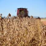 Agronegócio brasileiro atinge 28,58 mi de trabalhadores no 3º tri de 2025