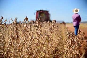 Agronegócio brasileiro atinge 28,58 mi de trabalhadores no 3º tri de 2025