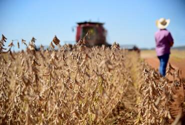 Agronegócio brasileiro atinge 28,58 mi de trabalhadores no 3º tri de 2025