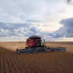 Aprosoja MT alerta que chuvas desafiam colheita da soja em Mato Grosso