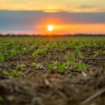 Aprosoja MT reforça a importância do uso e ocupação do solo para a sustentabilidade da agricultura