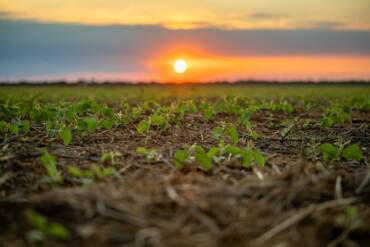 Aprosoja MT reforça a importância do uso e ocupação do solo para a sustentabilidade da agricultura