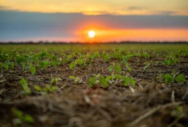 Aprosoja MT reforça a importância do uso e ocupação do solo para a sustentabilidade da agricultura