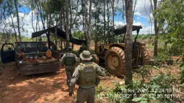 Crime ambiental leva à apreensão em São José do Rio Claro