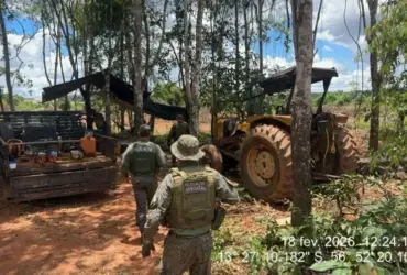 Crime ambiental leva à apreensão em São José do Rio Claro