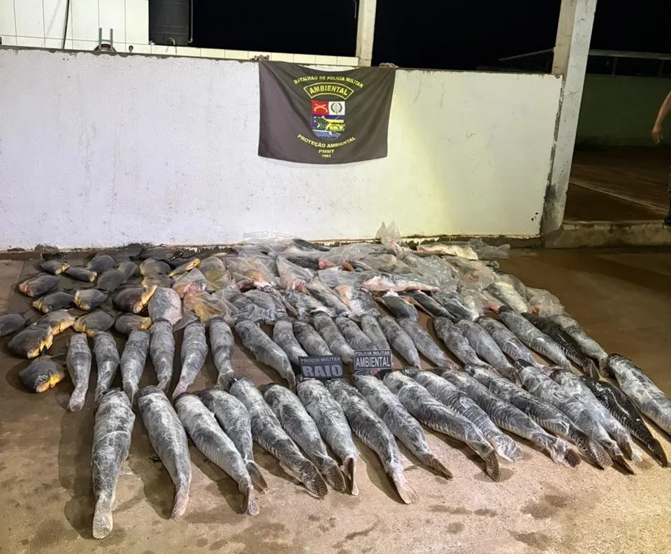 Pescado ilegal: PM apreende 340 kg em Cuiabá