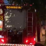 Retirada de enxame de abelhas mobiliza bombeiros em Sorriso