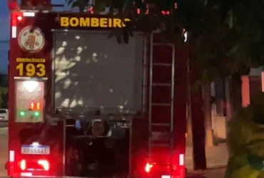 Retirada de enxame de abelhas mobiliza bombeiros em Sorriso