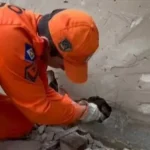 Resgate de filhotes de cachorro mobiliza bombeiros em Sorriso