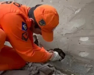 Resgate de filhotes de cachorro mobiliza bombeiros em Sorriso