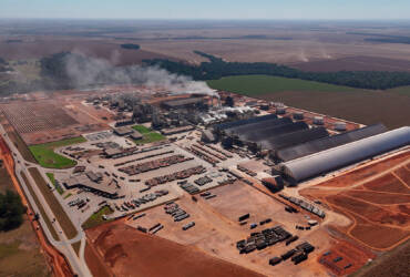 Brasil é líder mundial na produção de biocombustíveis e Mato Grosso tem papel estratégico no cenário nacional