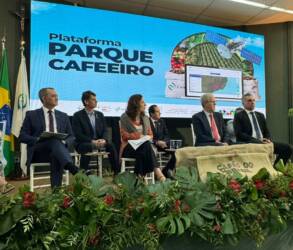 Conab lança plataforma para certificar café brasileiro como livre de desmatamento