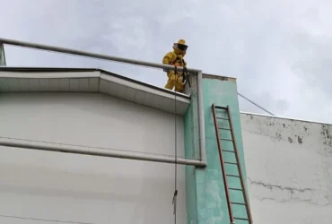 Enxame de abelhas mobiliza bombeiros em Campo Verde
