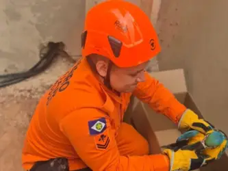 Resgate de animais silvestres mobiliza Bombeiros em MT