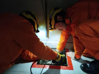 Bombeiros resgatam gato soterrado em concreto em Lucas do Rio Verde
