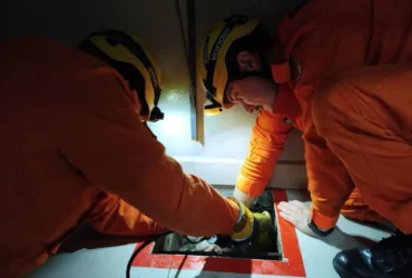 Bombeiros resgatam gato soterrado em concreto em Lucas do Rio Verde