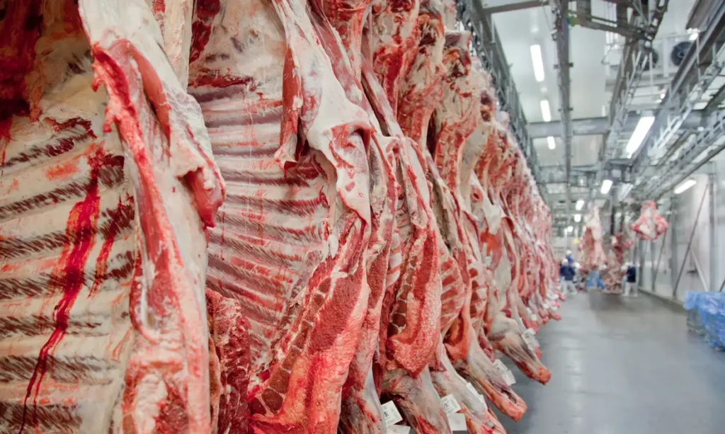 Cotas chinesas pressionam mercado, mas exportações brasileiras de carne bovina começam 2026 em ritmo recorde