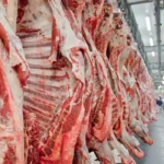 Cotas chinesas pressionam mercado, mas exportações brasileiras de carne bovina começam 2026 em ritmo recorde