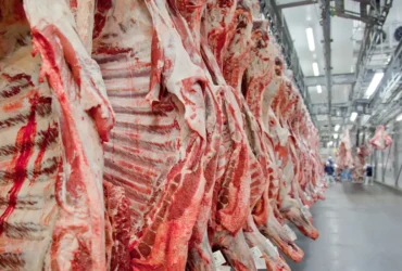Cotas chinesas pressionam mercado, mas exportações brasileiras de carne bovina começam 2026 em ritmo recorde
