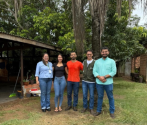 Crédito orientado impulsiona produção de banana e fortalece agricultura familiar em Juína