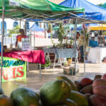 Cuiabá fixa Feira da Agricultura Familiar na Praça Alencastro todas as terças-feiras