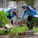 Cuiabá lança ofensiva total contra a Dengue a partir desta terça