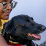 Cuiabá planeja programa de acolhimento animal com auxílio financeiro para lares temporários