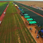 Blindagem no Campo: PA Summit 2026 destaca controle de pragas resistentes e estratégias de mercado para safra 25/26