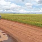 Estradas não pavimentadas ampliam gargalos logísticos e elevam custos para produtores de Mato Grosso