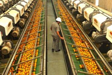Exportações de suco de laranja reagem em janeiro, impulsionadas pela União Europeia