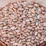 Feijão carioca dispara em fevereiro e disponibilidade pode ser a menor em uma década