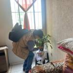 Levantamento em Sinop aponta que 80% dos focos do Aedes aegypti estão dentro dos imóveis