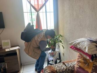Levantamento em Sinop aponta que 80% dos focos do Aedes aegypti estão dentro dos imóveis