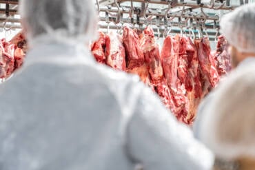 Mato Grosso tem frigorífico habilitado para exportar carne bovina à Indonésia
