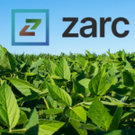 Novo painel do Zarc moderniza consulta às janelas de plantio e reforça gestão de riscos na agricultura