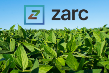 Novo painel do Zarc moderniza consulta às janelas de plantio e reforça gestão de riscos na agricultura