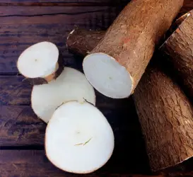 Oferta restrita sustenta terceira alta seguida da mandioca, aponta Cepea