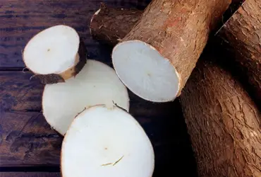 Oferta restrita sustenta terceira alta seguida da mandioca, aponta Cepea