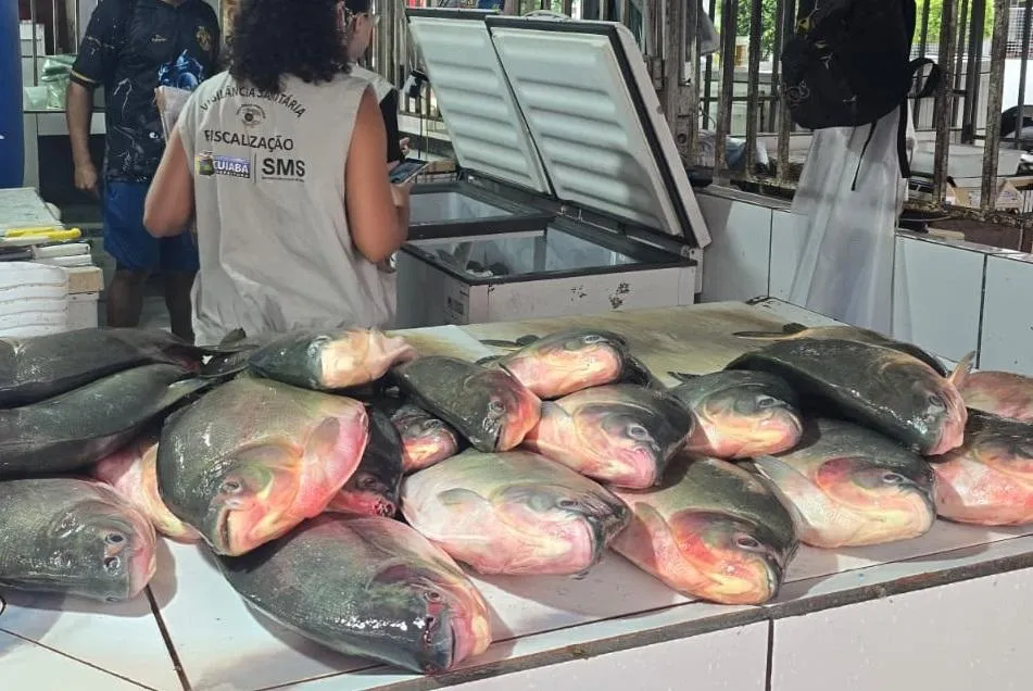Operação Praero apreende meia tonelada de pescado irregular