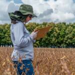 Pesquisas científicas voltada ao campo tornam lavouras mais eficientes e econômicas ao produtor