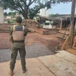 Operação Essência desarticula esquema milionário de madeira ilegal